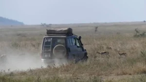 Trusted by Travelers Exploring Tanzania’s Wild Beauty