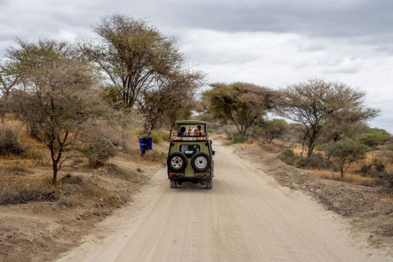 Safari Car Rental Tanzania: How to Choose the Right 4x4 for a Self-Drive Trip 5 Safari jeep on a dirt road in Tanzania
