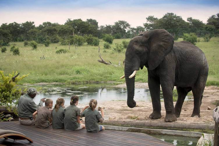 Family Safaris with Kids