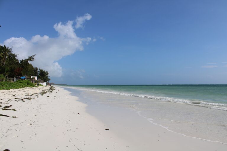 4x4 Huren Tanzania: Tips voor Nederlandse Self-Drive Reizigers 4 White sand beach and turquoise ocean in Zanzibar Tanzania